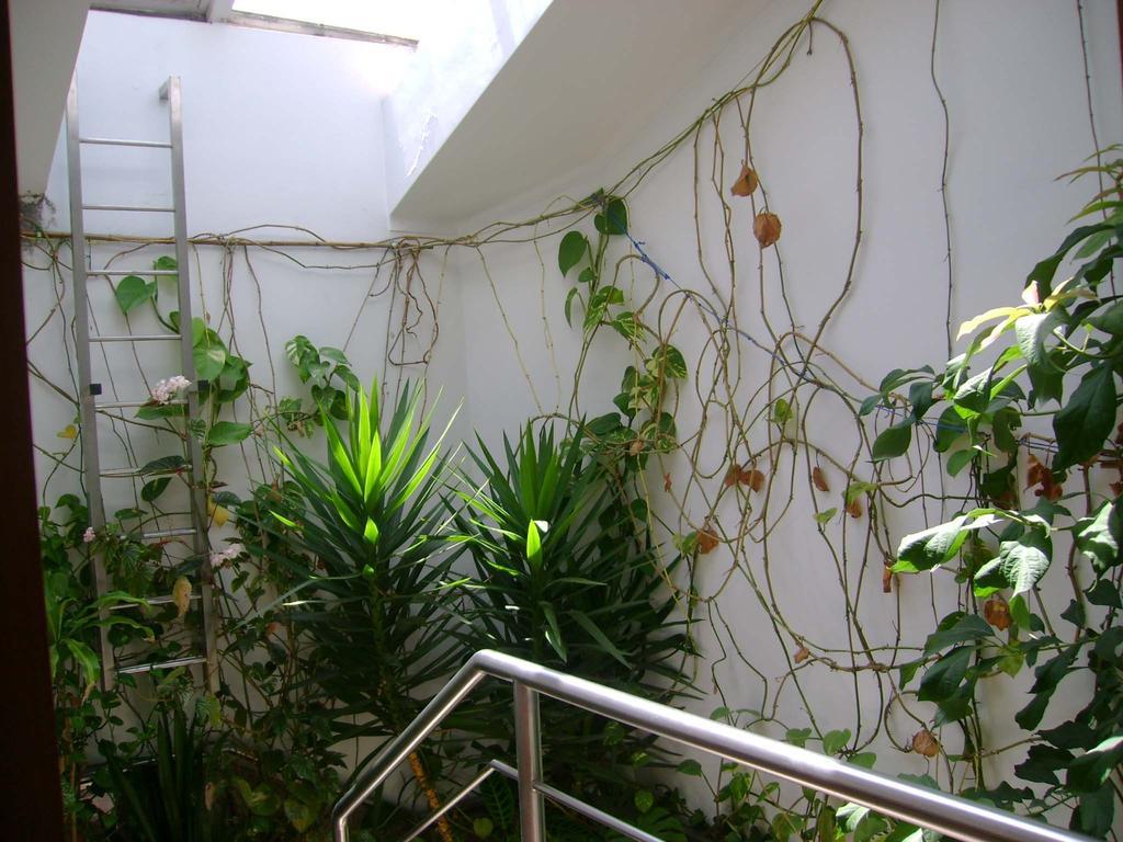 Hotel Residencial Moeda Coímbra Exterior foto